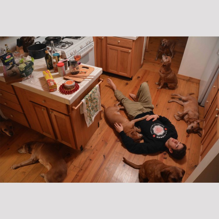 young man trick photograph doubles mirror dogs kitchen floor