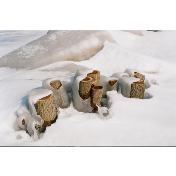 winter snow scene stumps logs covered half